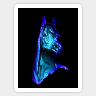 ARABIAN HORSE. Beautiful, BLUE, vibrant, Arab head study. Sticker